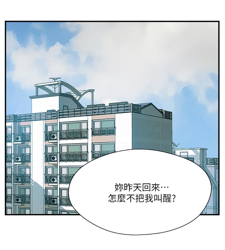 19P - 完美新伴侣