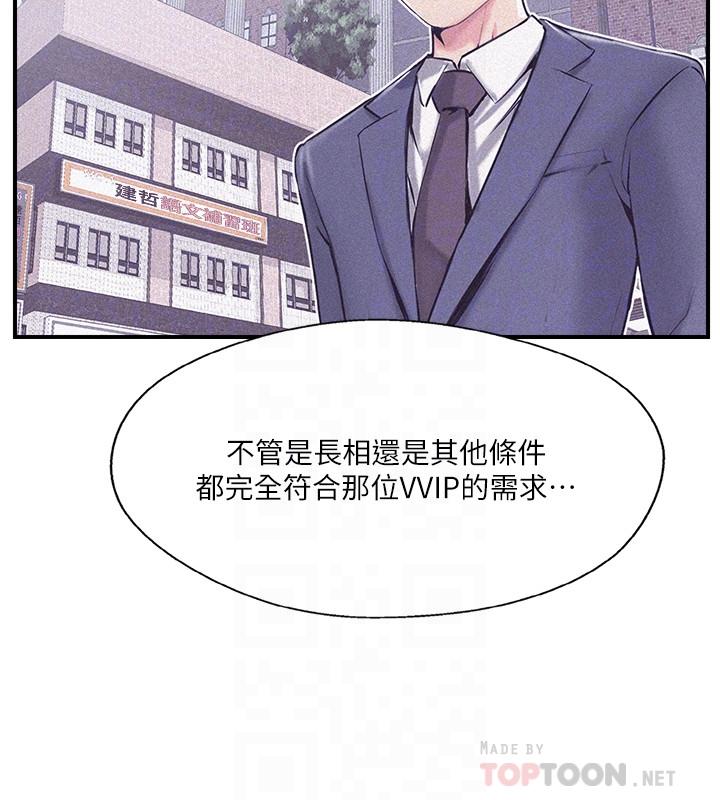 6P - 完美新伴侣
