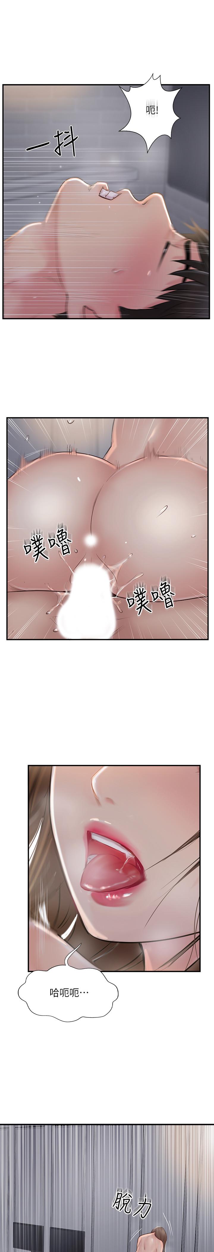 24P - 完美新伴侣