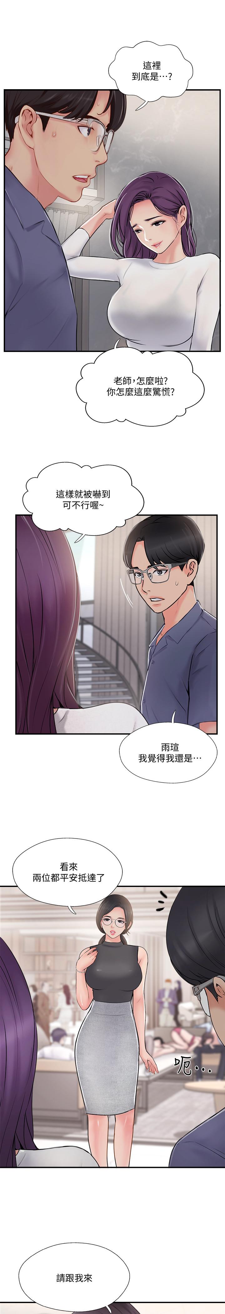 33P - 完美新伴侣