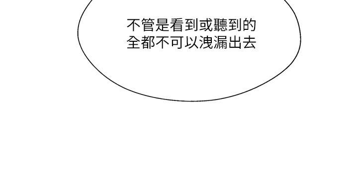 2P - 完美新伴侣