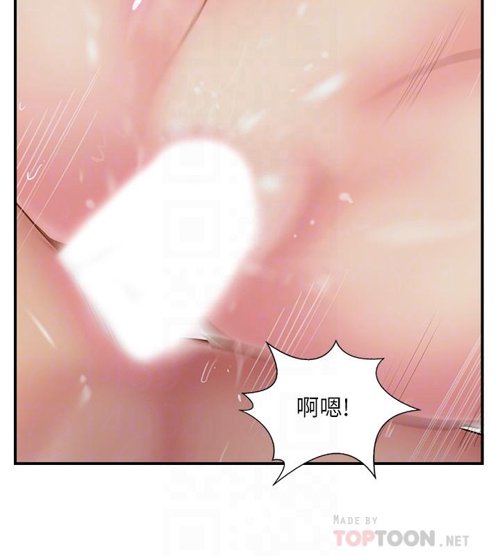 6P - 完美新伴侣