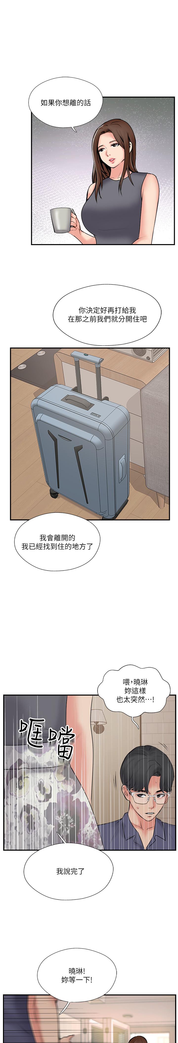 17P - 完美新伴侣