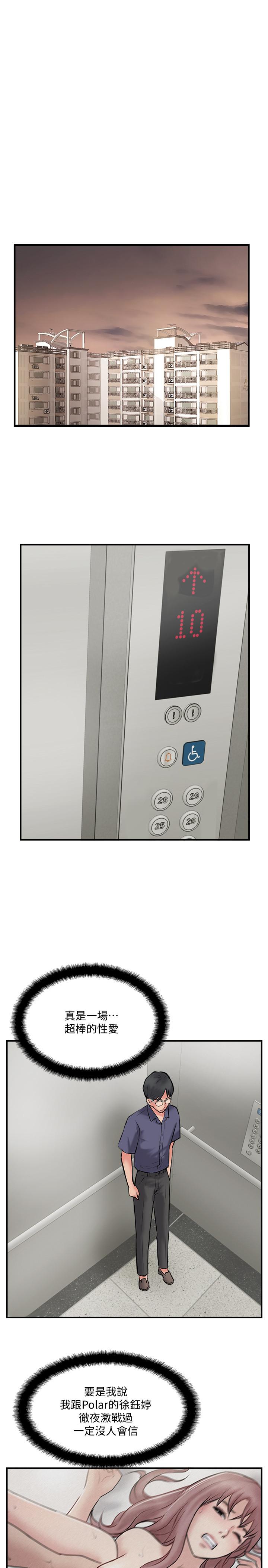 7P - 完美新伴侣