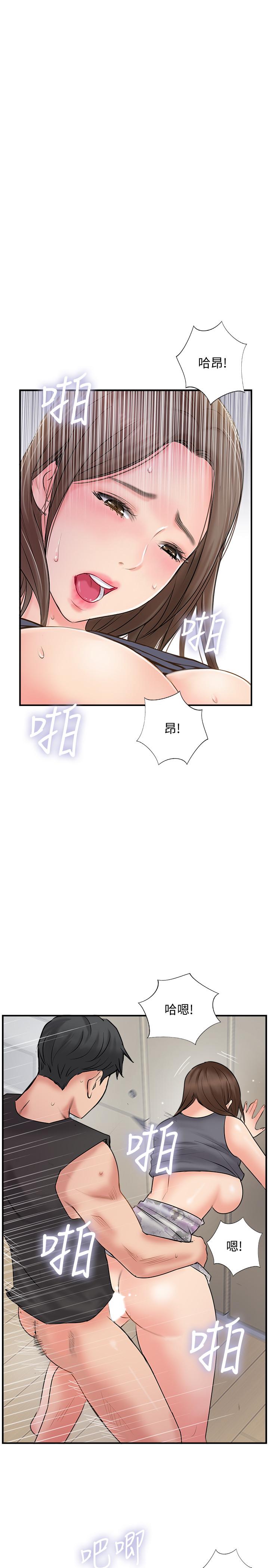 1P - 完美新伴侣