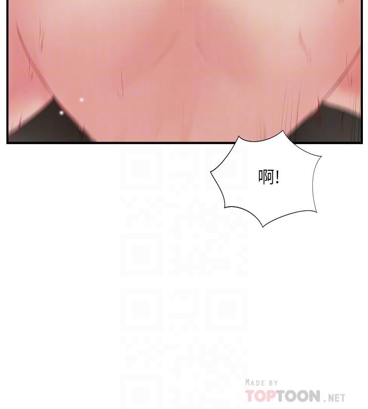 14P - 完美新伴侣