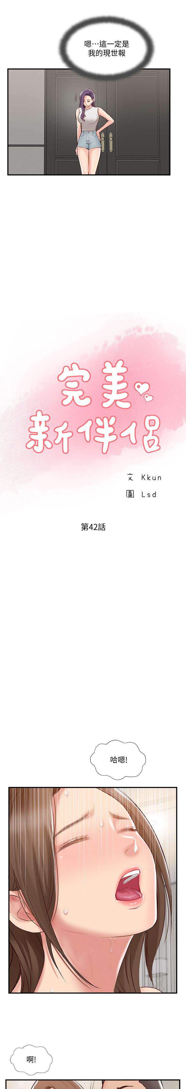 7P - 完美新伴侣