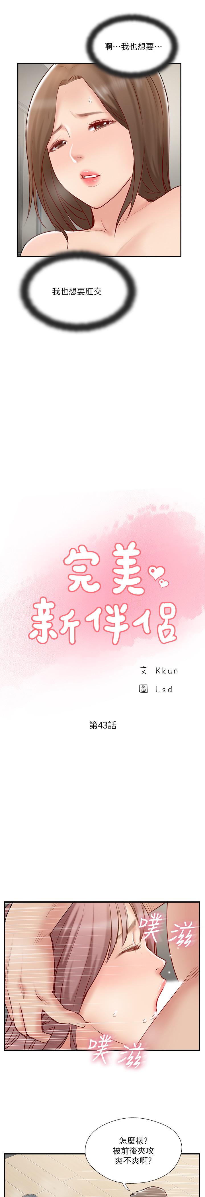 9P - 完美新伴侣