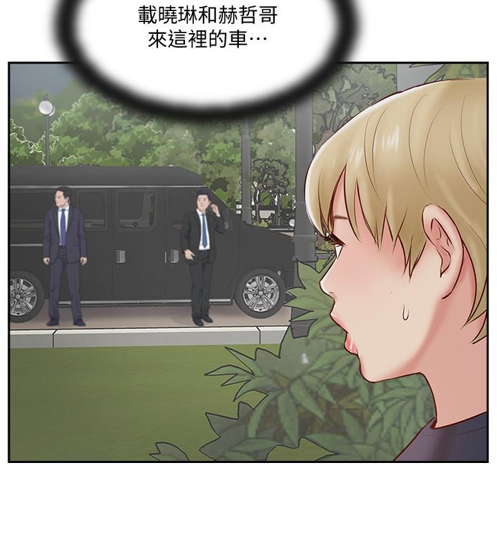 2P - 完美新伴侣