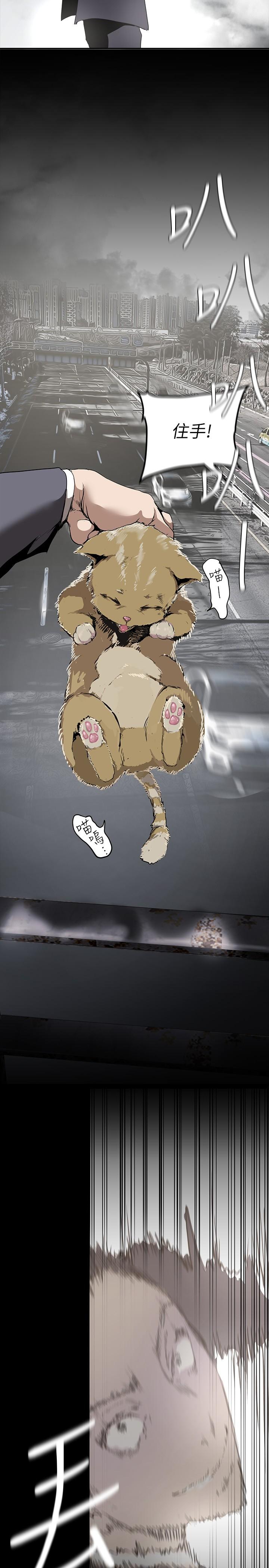 13P - 美丽新世界