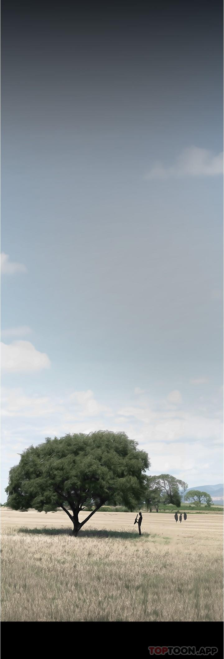 7P - 美丽新世界
