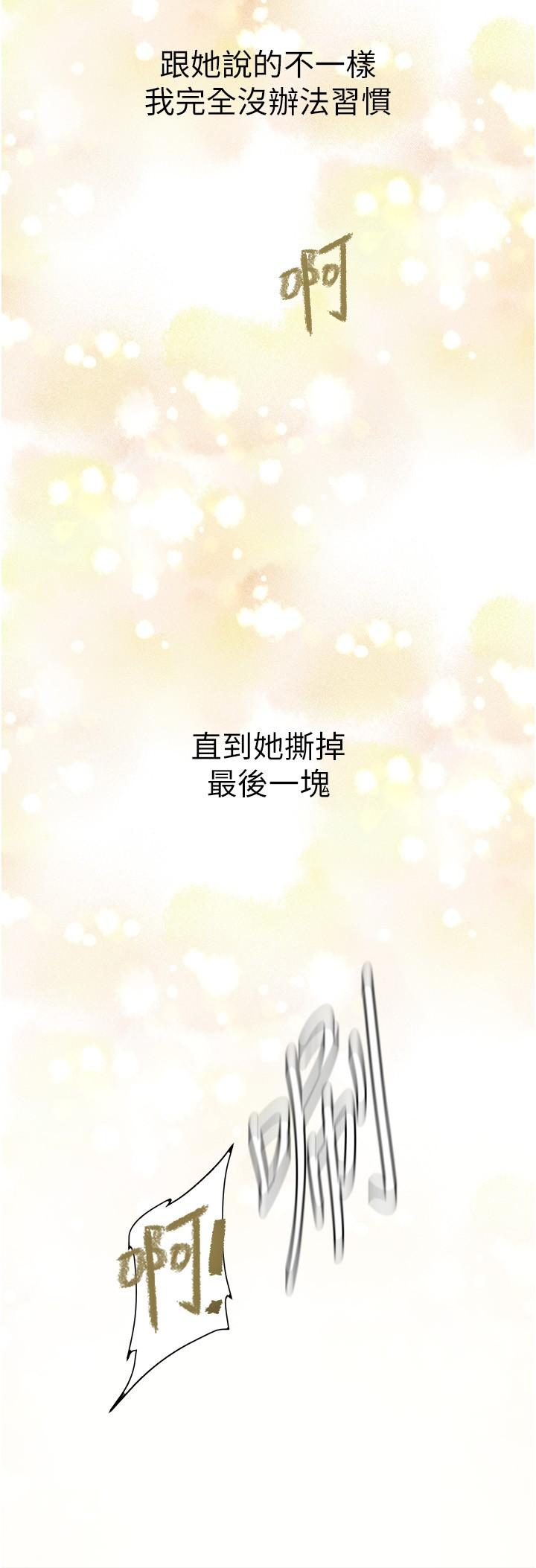 19P - 美丽新世界