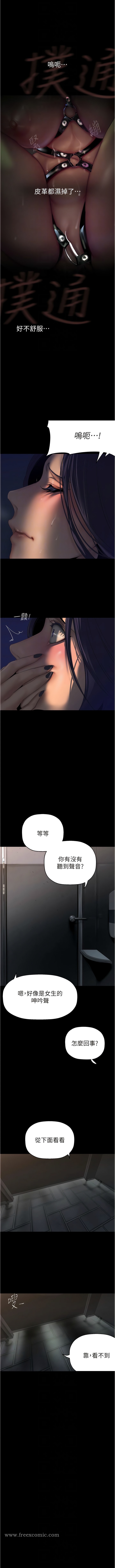 11P - 美丽新世界