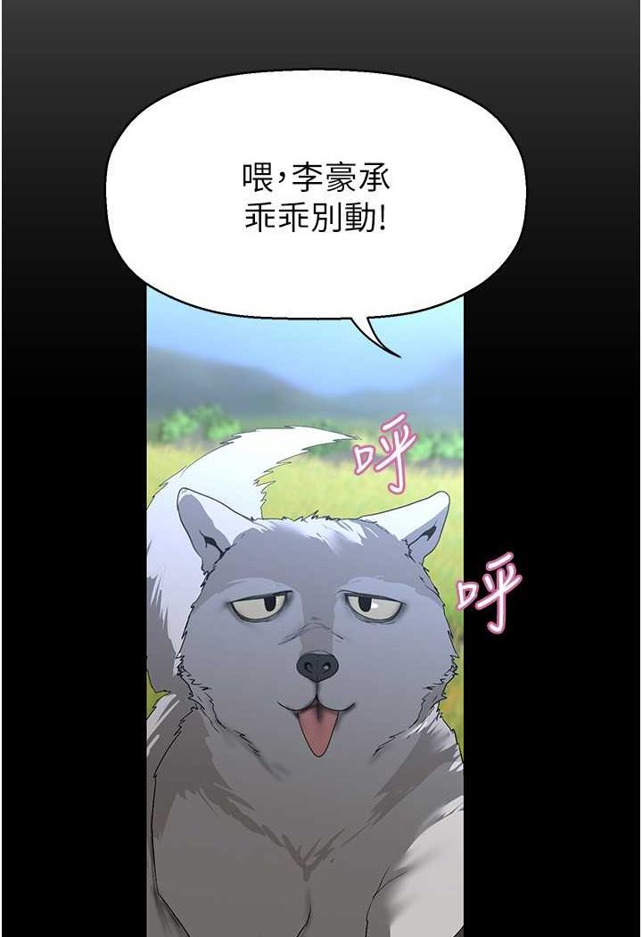 37P - 美丽新世界