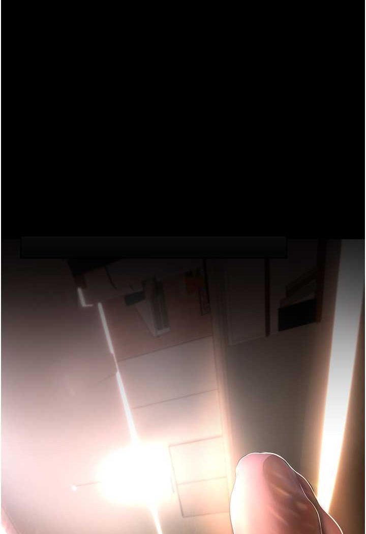 1P - 美丽新世界
