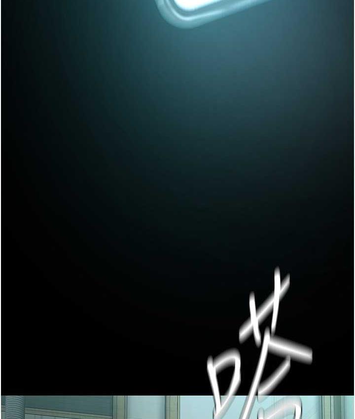 5P - 美丽新世界