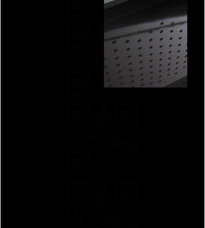 26P - 美丽新世界