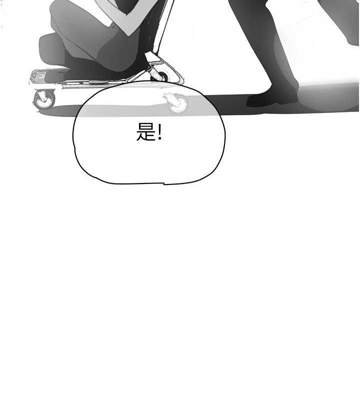 74P - 美丽新世界