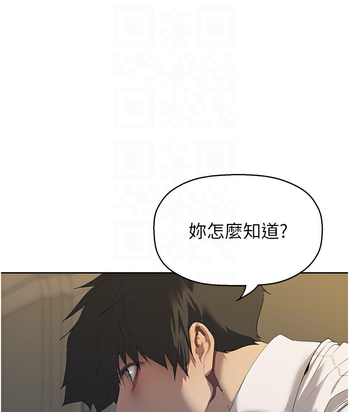 43P - 美丽新世界