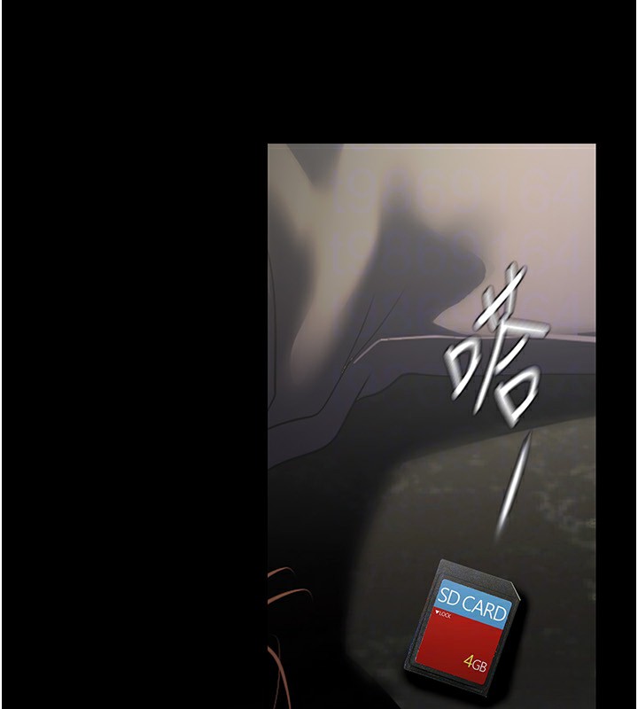 47P - 美丽新世界
