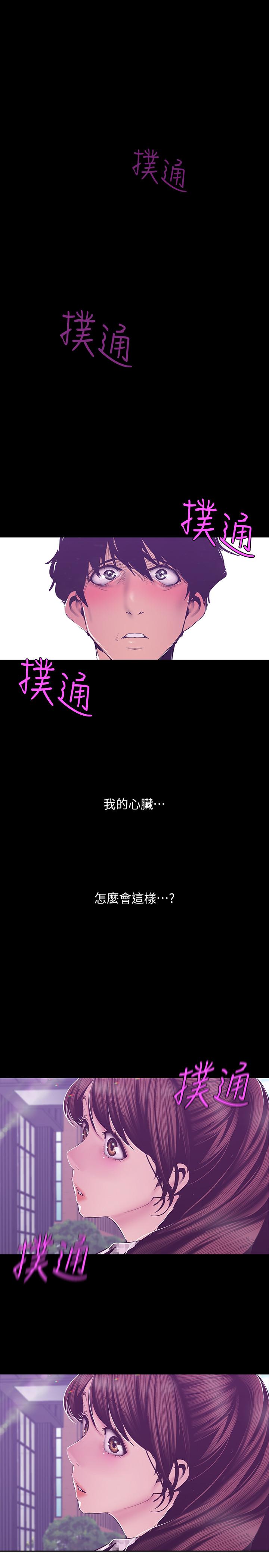 1P - 美丽新世界