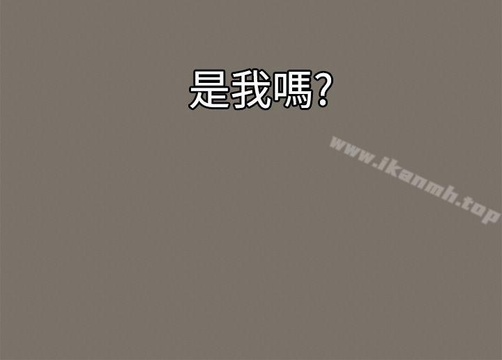 33P - 流浪猫