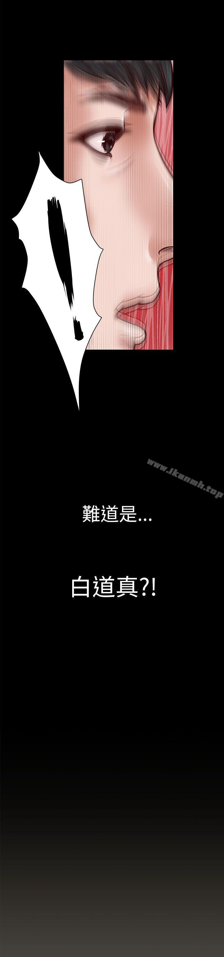 11P - 流浪猫