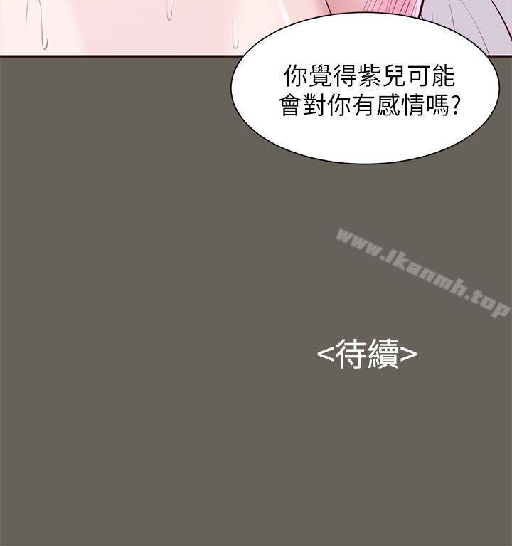 26P - 流浪猫