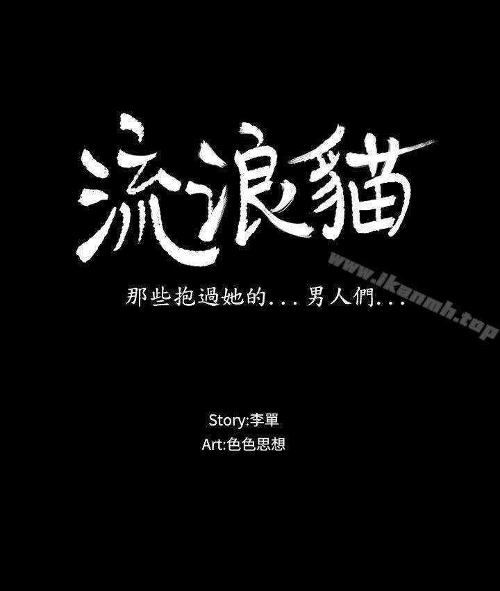3P - 流浪猫