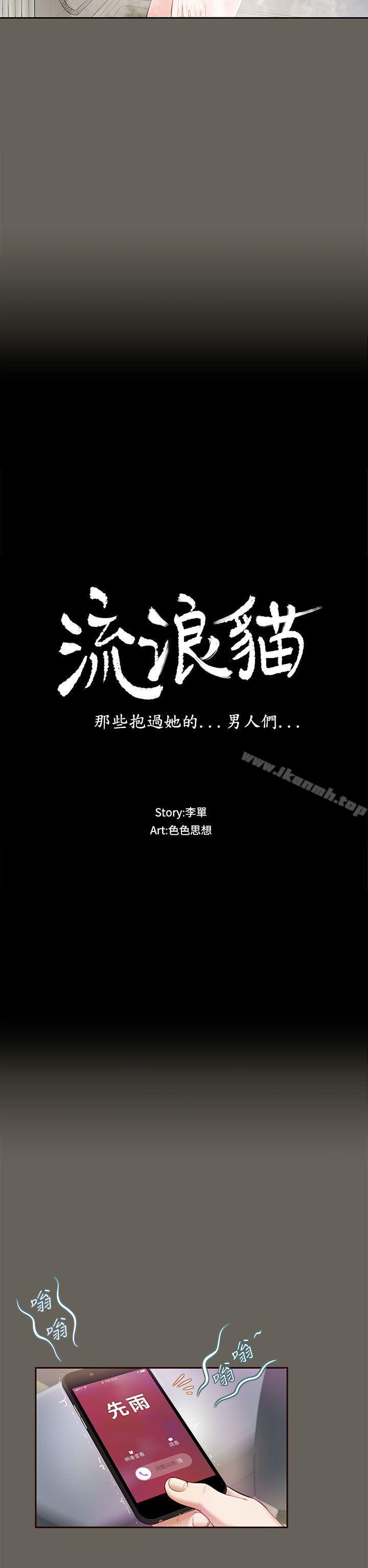 2P - 流浪猫
