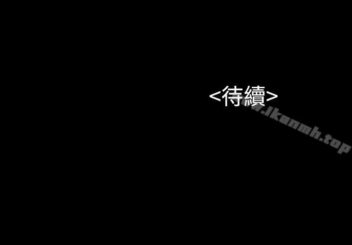 31P - 流浪猫