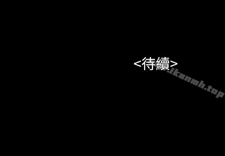 26P - 流浪猫