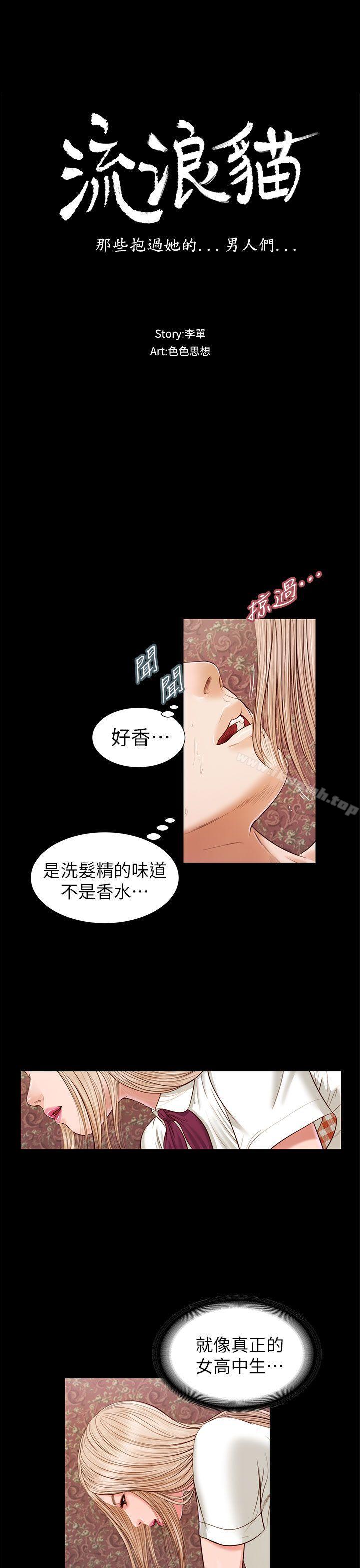 3P - 流浪猫