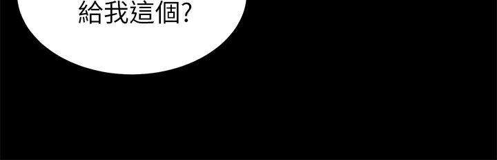 11P - 流浪猫