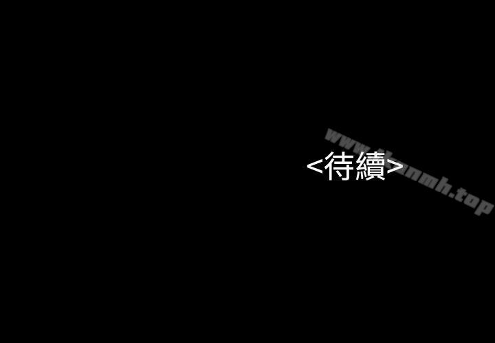 26P - 流浪猫