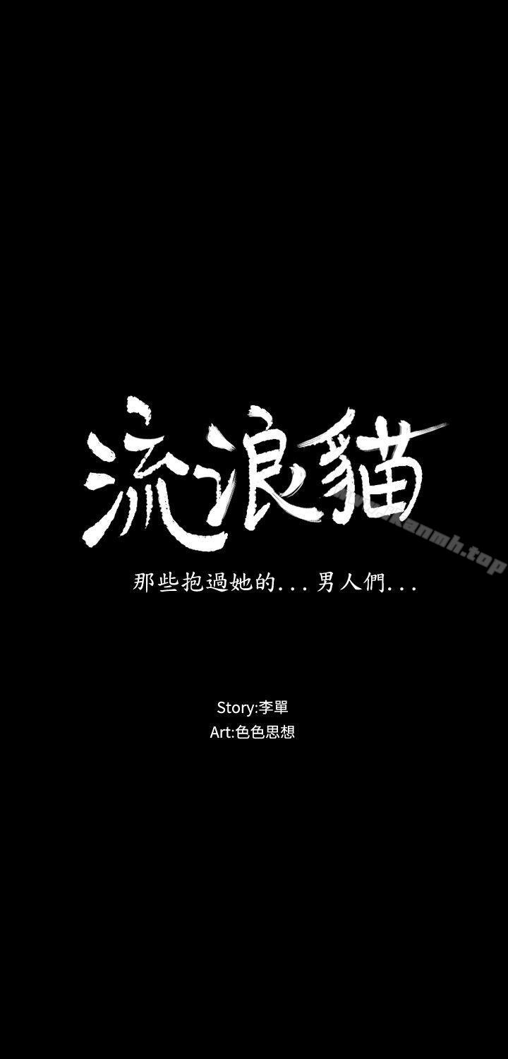 3P - 流浪猫
