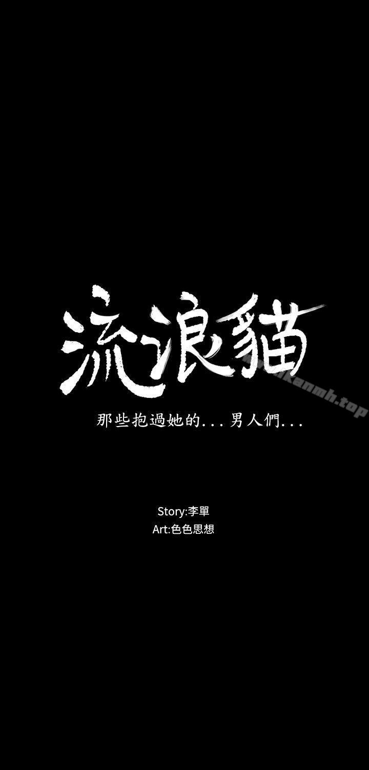 13P - 流浪猫