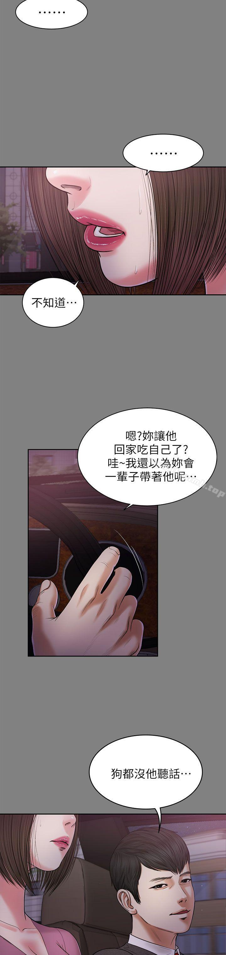 16P - 流浪猫