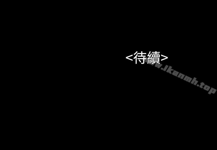32P - 流浪猫