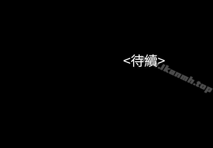 31P - 流浪猫