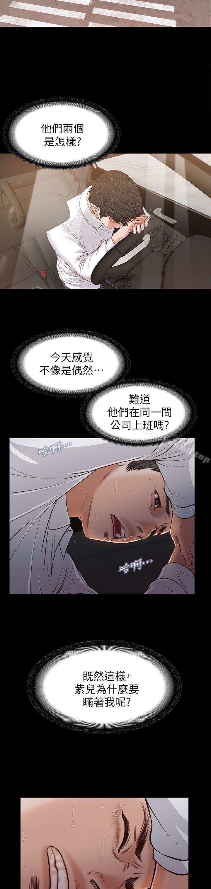 21P - 流浪猫