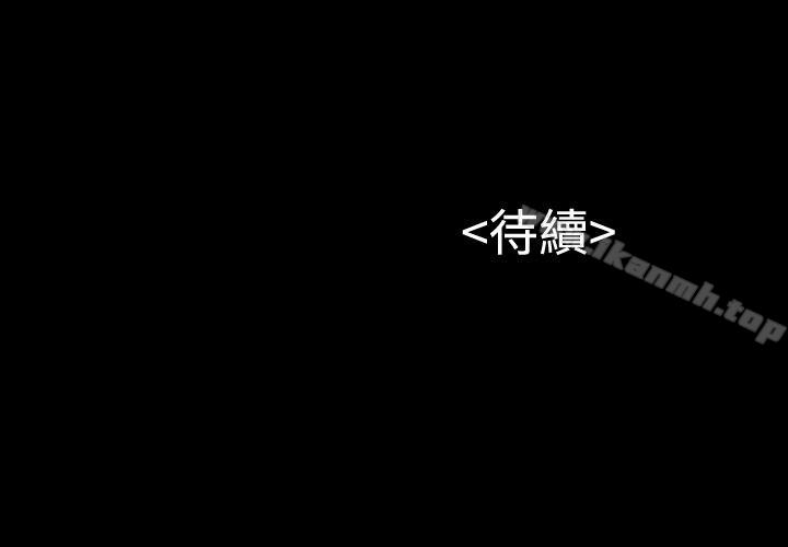 32P - 流浪猫