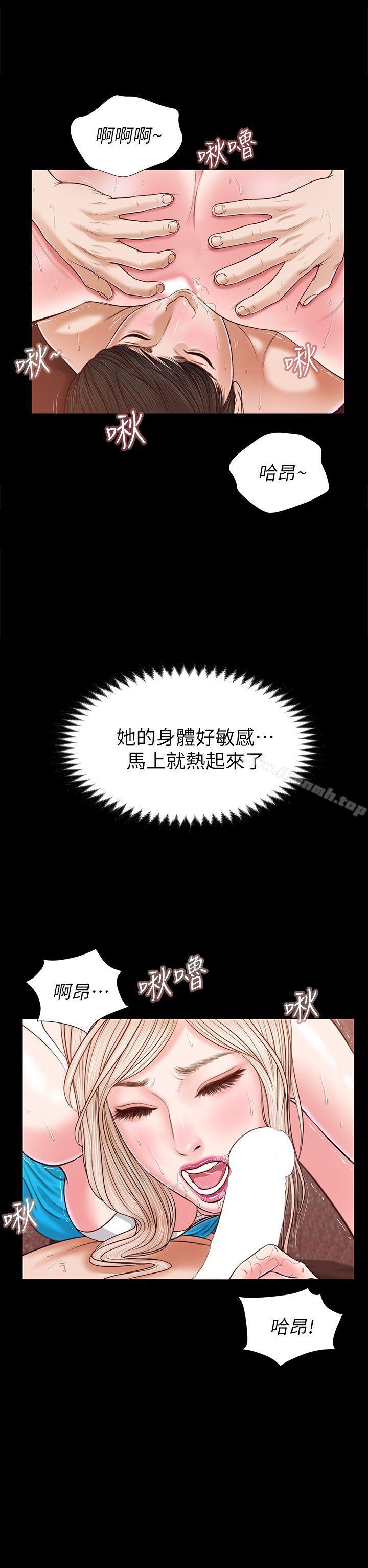 12P - 流浪猫