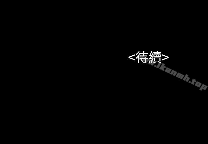 31P - 流浪猫