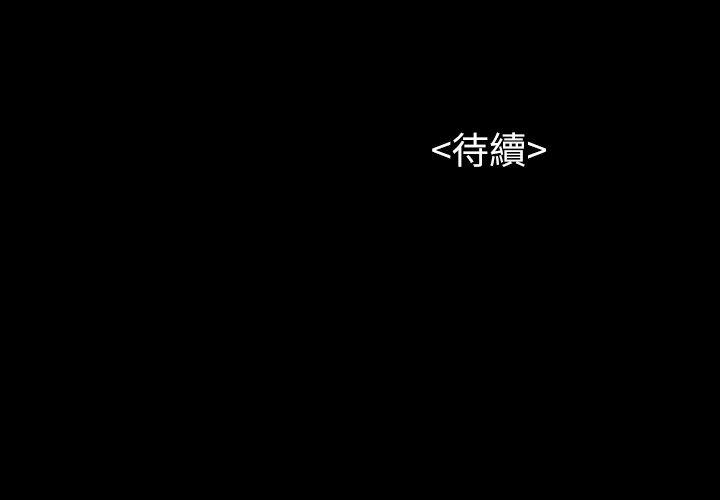 28P - 流浪猫