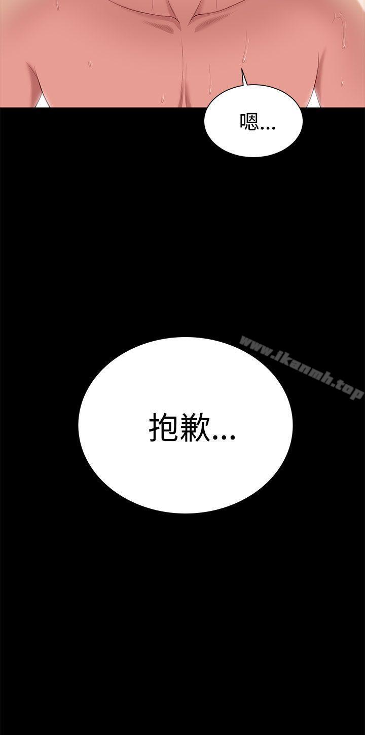 32P - 流浪猫