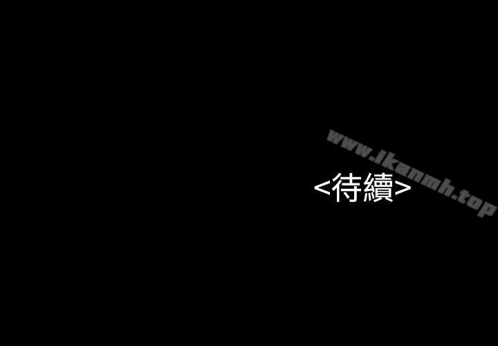 41P - 流浪猫