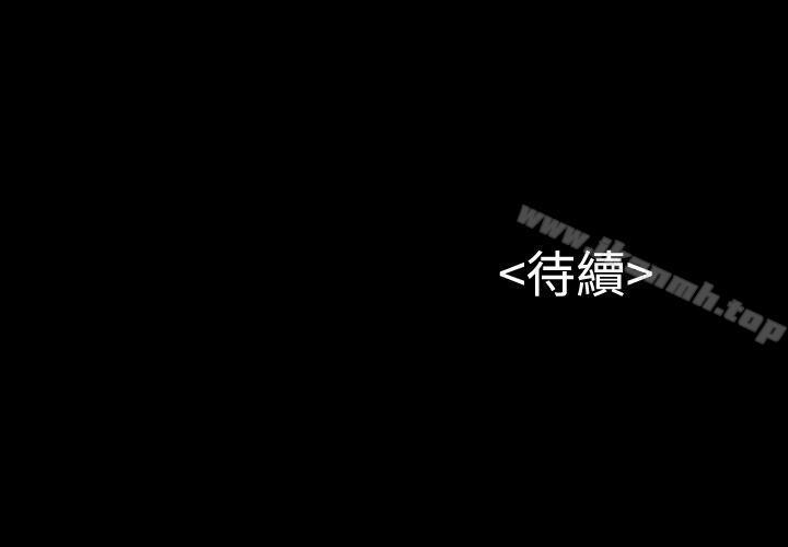37P - 流浪猫