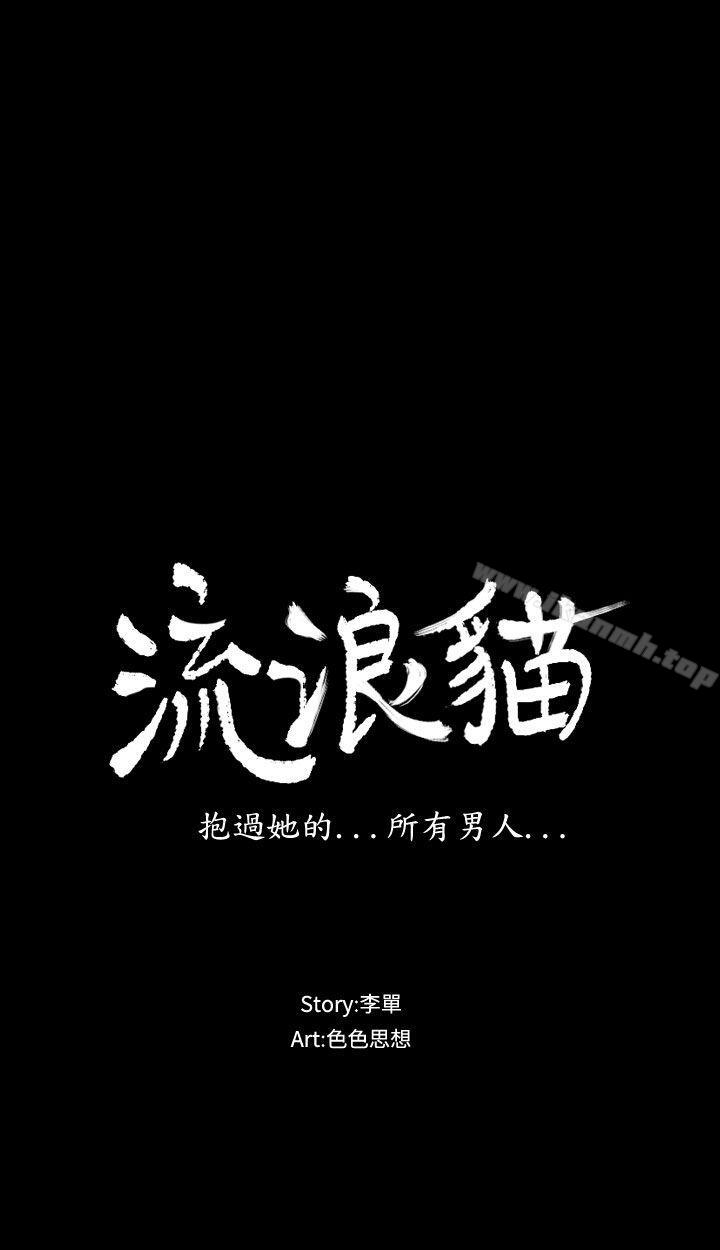 3P - 流浪猫