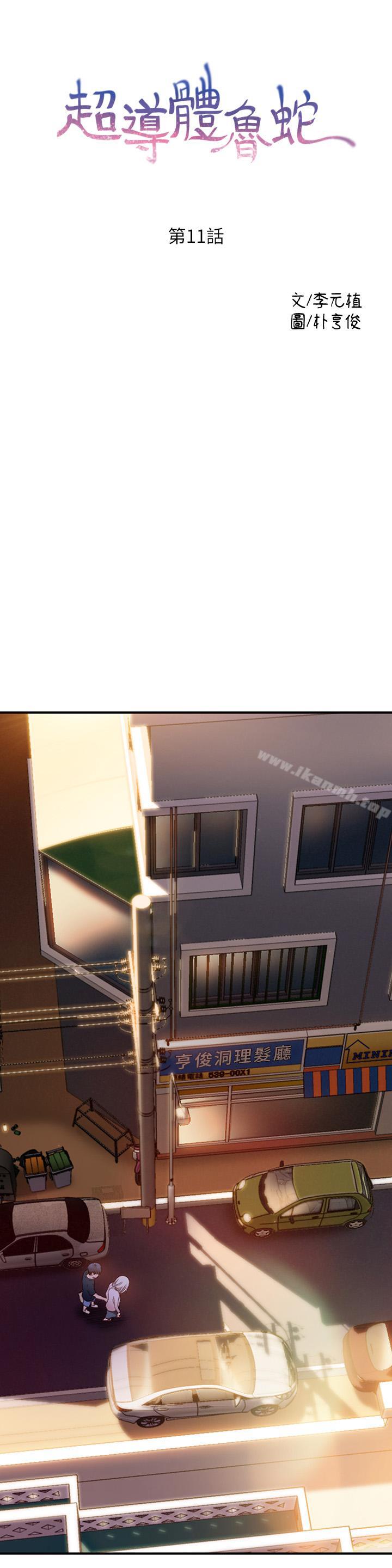 1P - 超导体鲁蛇